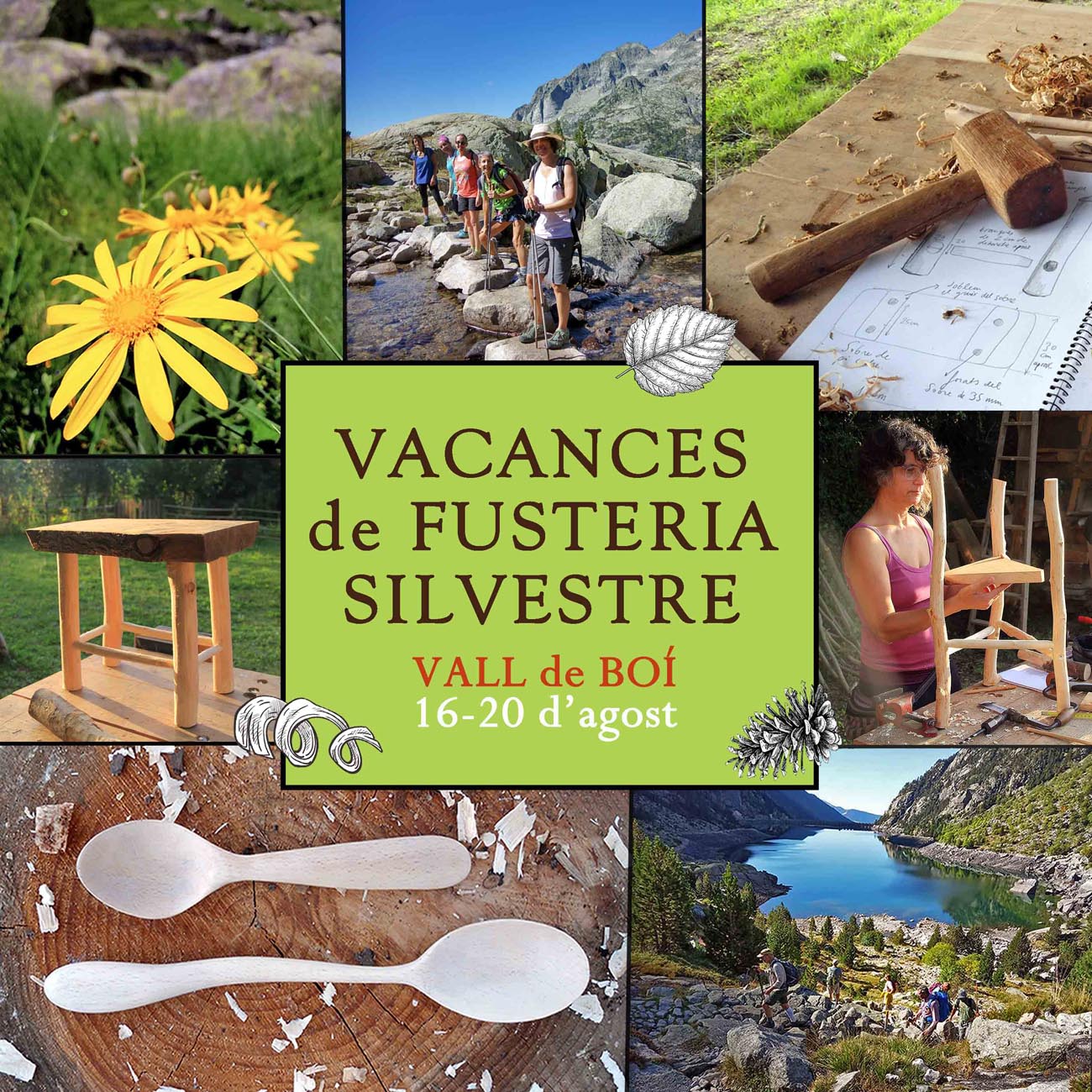Vacances de fusteria silvestre Vall de Boí