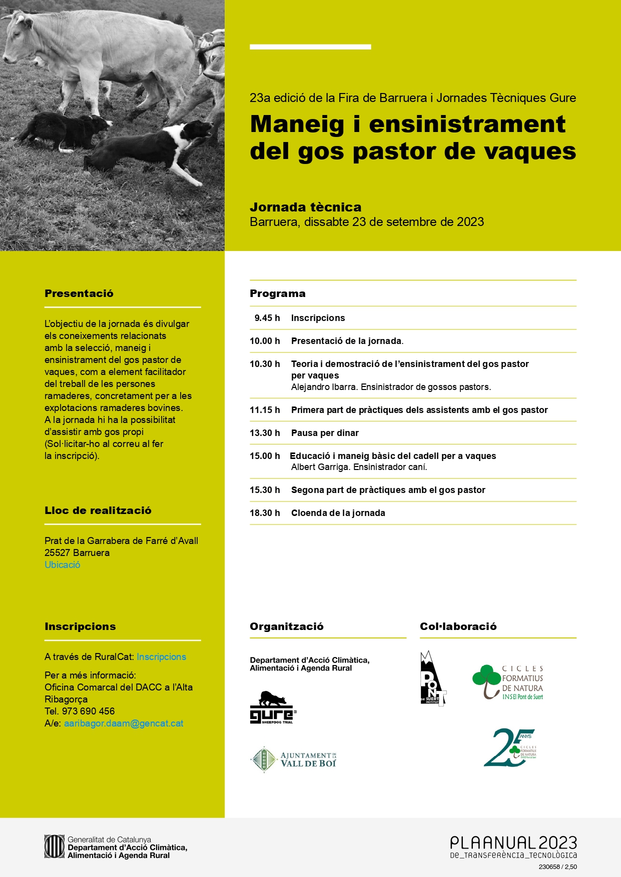 Maneig i ensinistrament del gos pastor de vaques