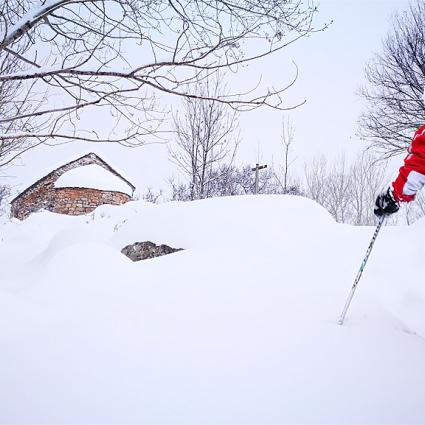 roger_gras_guia_aiguestortes_-_vall_de_boi_-_pirineus_-_raquetes_de_neu.jpg