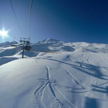 telesilla_angular_pisadas_nieve.jpg