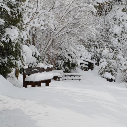 Apartaments amb encant La Peguera La Vall de Boí