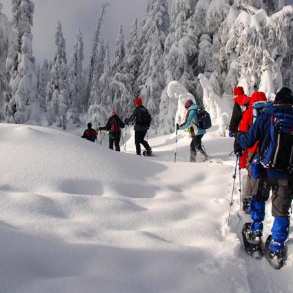 Raquetes de neu