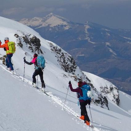 Raquetes de neu