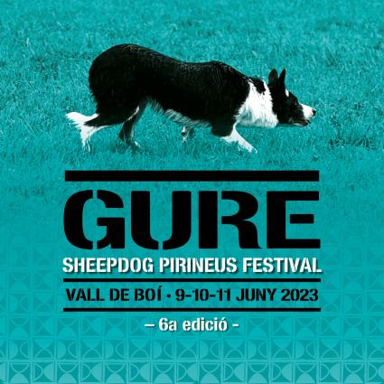 Gure Sheep Dog Trail 2023