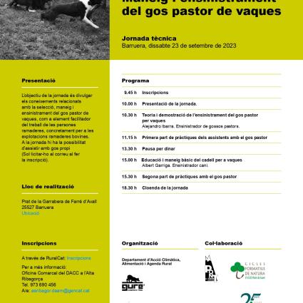 Maneig i ensinistrament del gos pastor de vaques