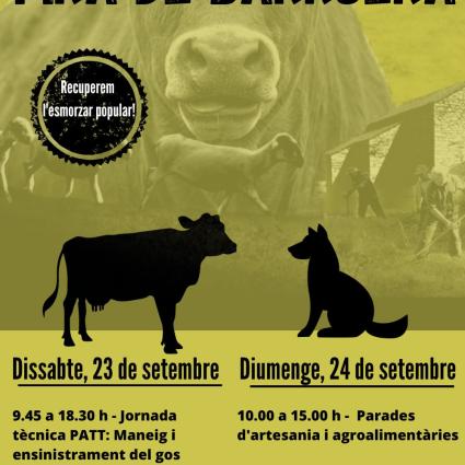 Programa Fira de Barruera