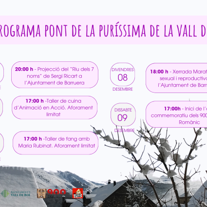 Programa Pont de la Puríssima