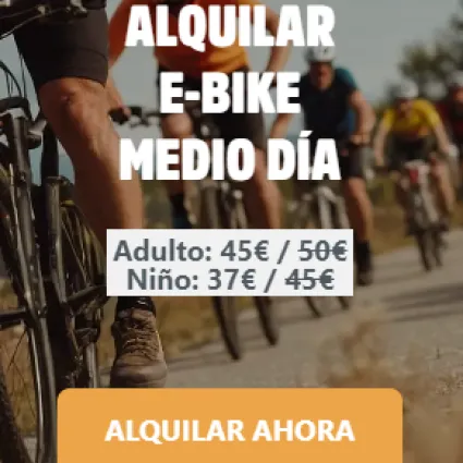 alquilar-ebike-medio-dia