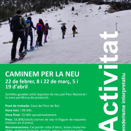 caminem per la neu