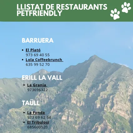 restaurants dogfriendly