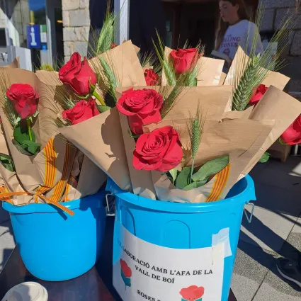 Sant Jordi a la Vall de Boí