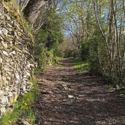 Wikiloc Org Vall de Boí
