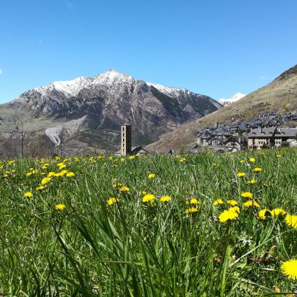 primavera