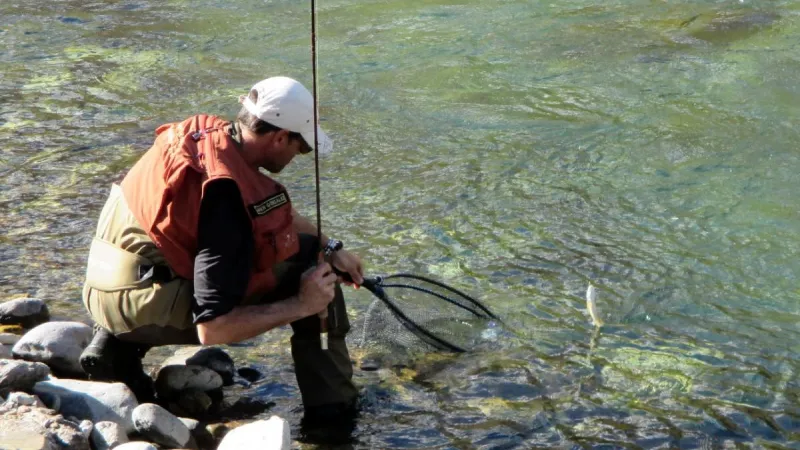pesca Vall de Boí pesca Vall de Boí