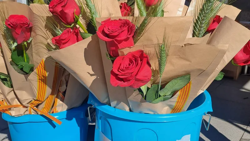 Sant Jordi a la Vall de Boí