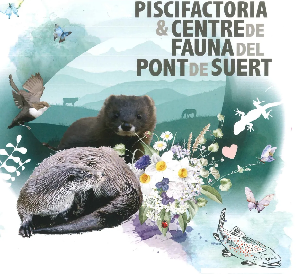 Piscifactoria i centre de fauna 